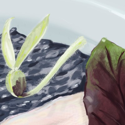 20220205-0701_sea bass with cardoon stalks_digital paint_txaqui_arantxa-quinones_d03